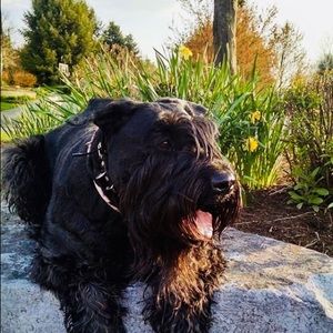 Meet your Posher, Beth